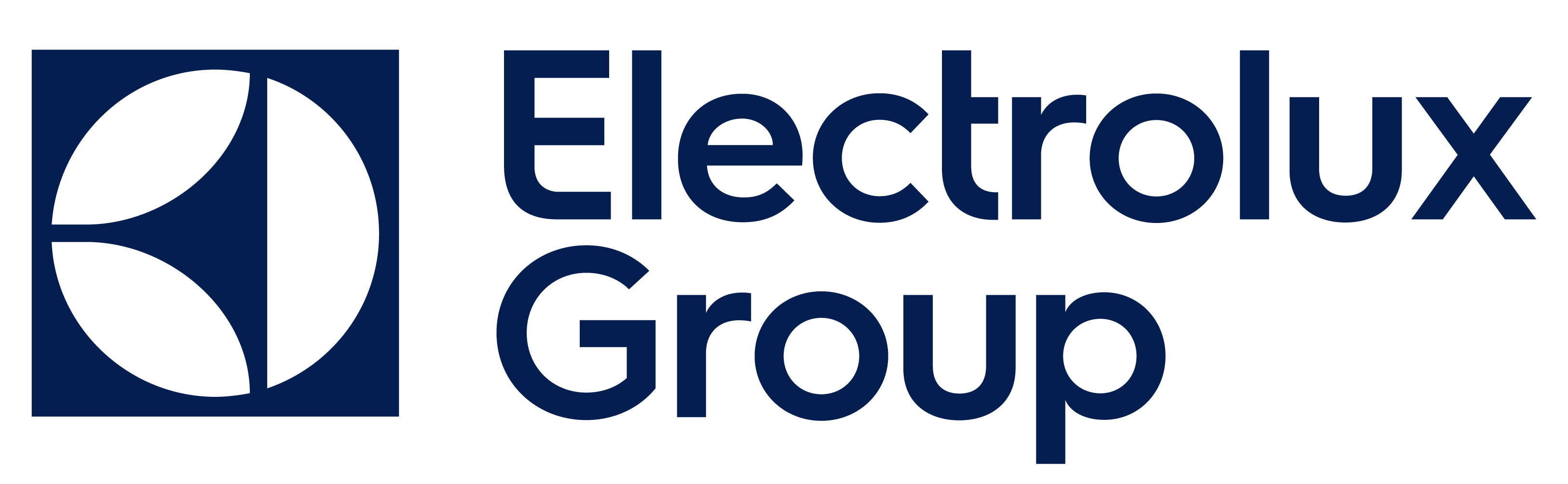 ELECTROLUX ITALIA SPA